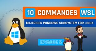 10 commandes pour maîtriser WSL sous Windows 10