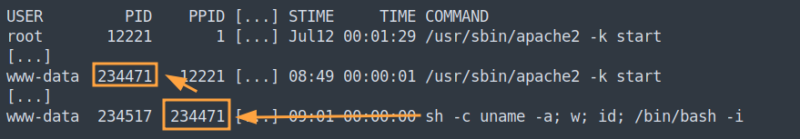 Exemple d’analyse des processus via la collecte LinuxCatScale.