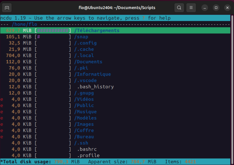 Analyser espace disque Linux avec ncdu