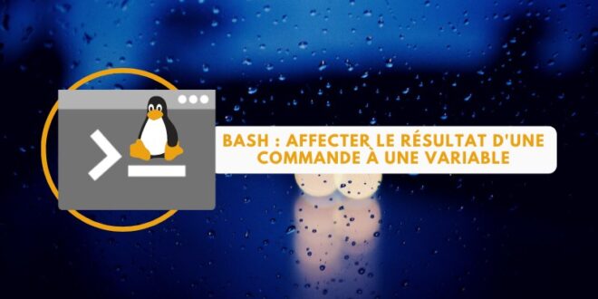 Script Bash - Affecter le résultat d'une commande à une variable