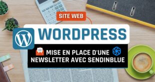 Tutoriel WordPress Sendinblue Newsletter