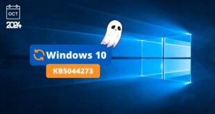 Windows 10 KB5044273