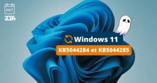 Windows 11 KB5044284 et KB5044285