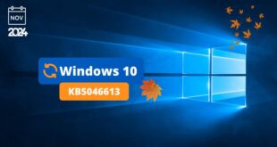 Windows 10 KB5046613