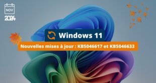 Windows 11 - Mises à jour novembre 2024 - KB5046617 et KB5046633